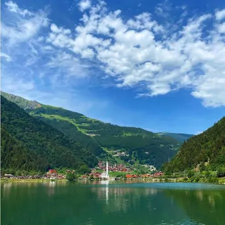 Tatil Evi Trabzon Sakli *