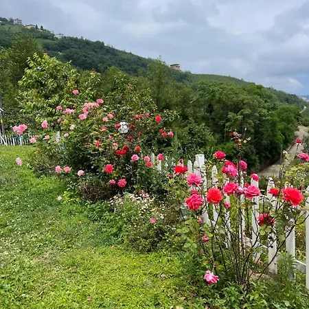 Trabzon Sakli Tatil Evi