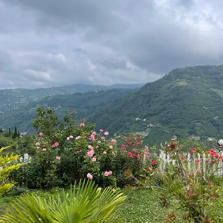 Tatil Evi Trabzon Sakli Akçaabat