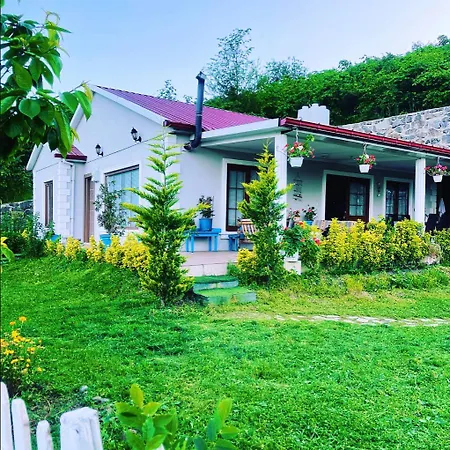 Trabzon Sakli Tatil Evi *